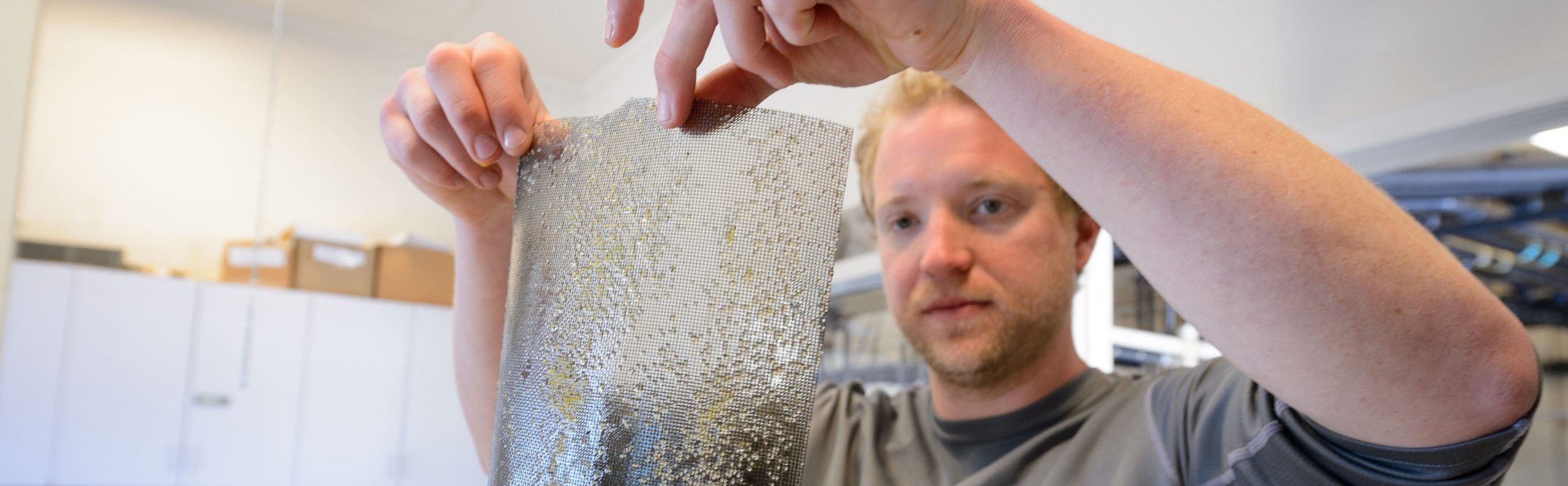A male holds up a square piece of mesh containing fish eggs